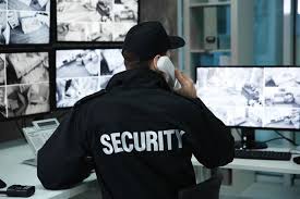 Professional Security Team